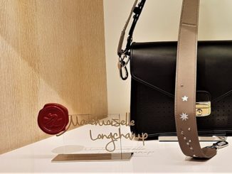 Mademoiselle Longchamp Bag